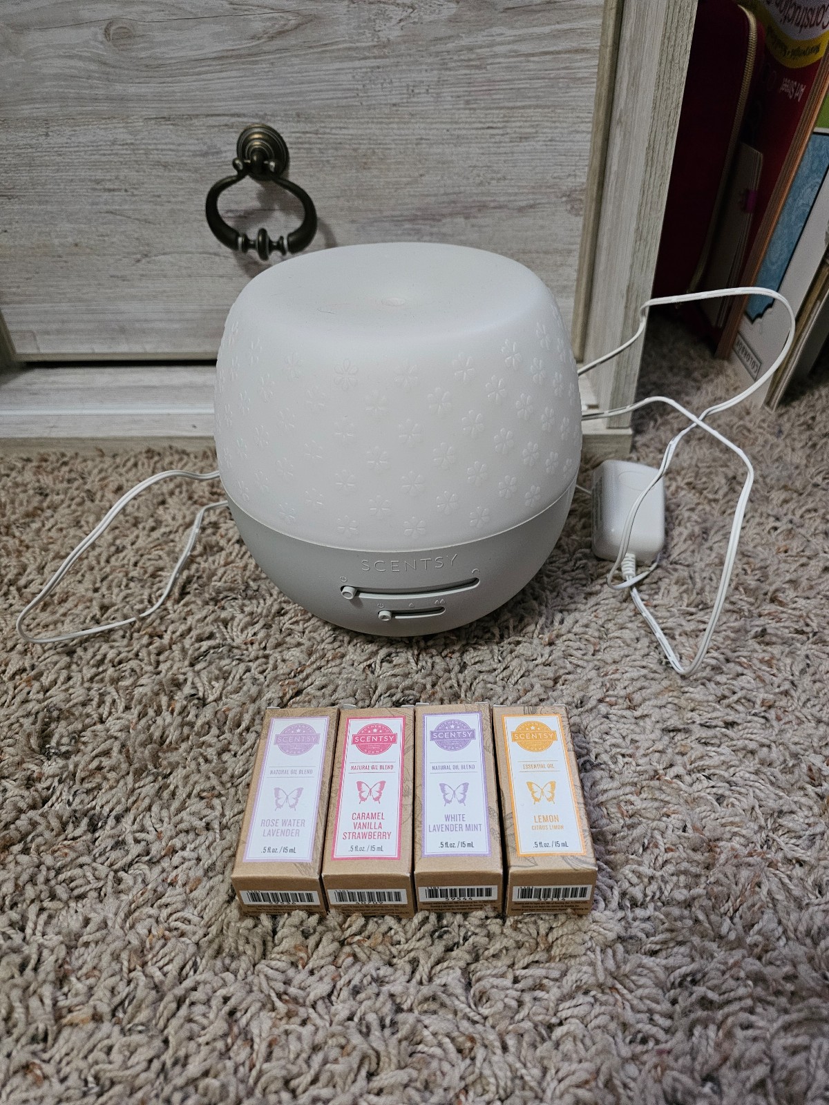 Scentsy Diffuser and Oils