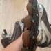 Nike Skates