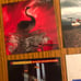Depeche Mode fridge magnets