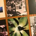 Depeche Mode fridge magnets