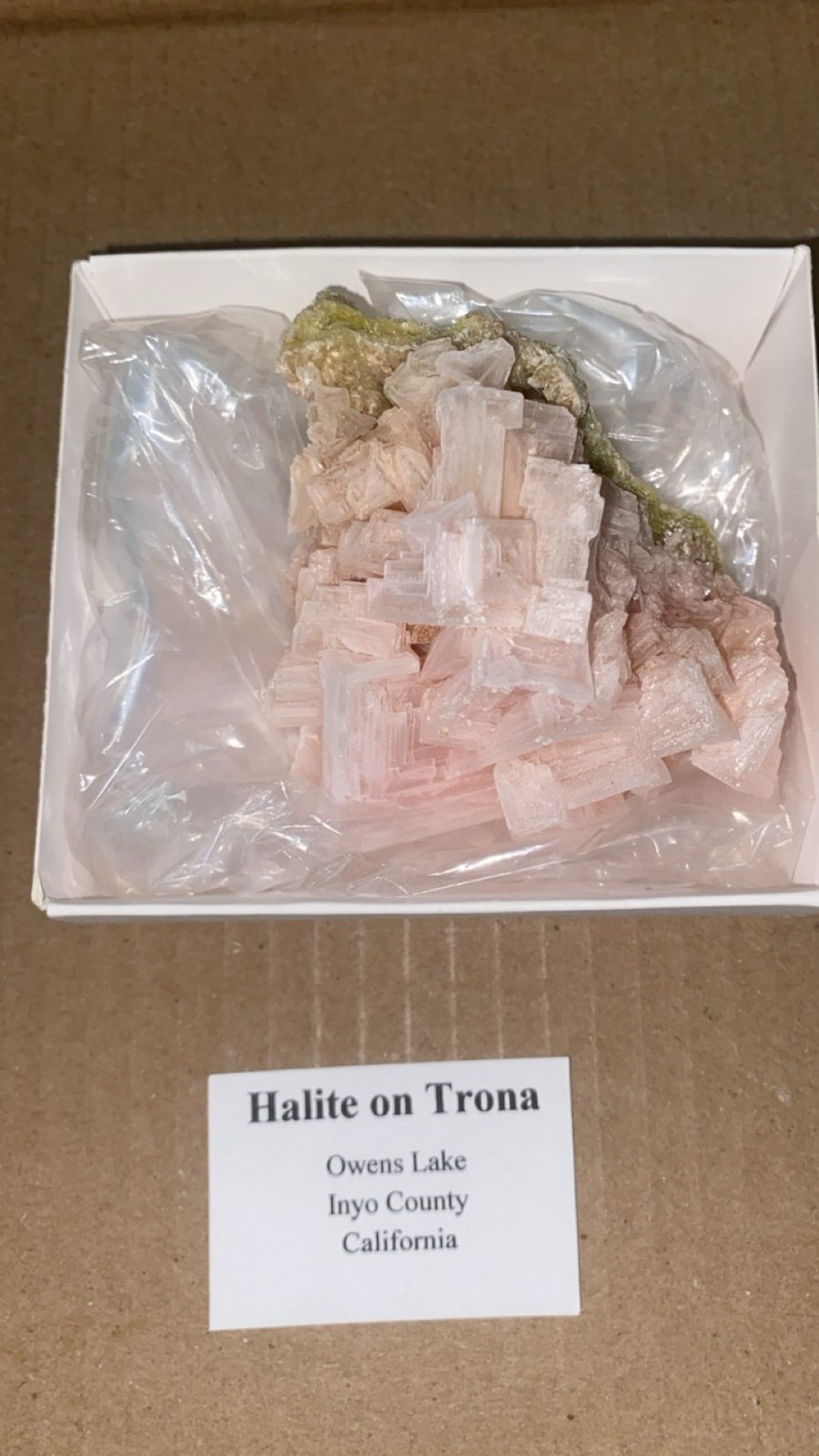 Hand Harvested Hailte