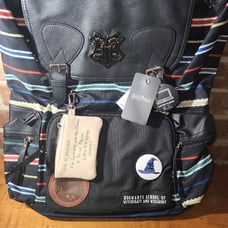 Harry Potter Rucksack Black Striped Backpack