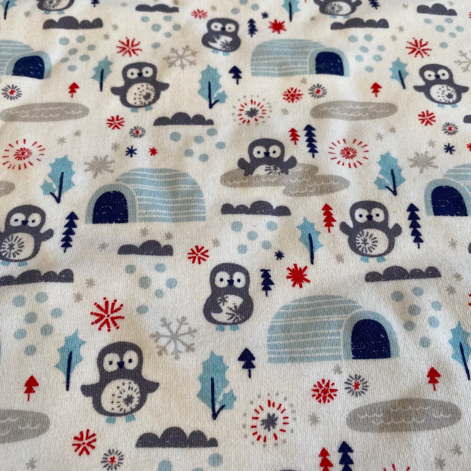Apple Park Blue Penguin Igloo Baby Blanket 100% Organic Cotton