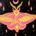 Rosy Maple Moth Original Art Hand painted 8x10 inch black canvas Yellow and Pink