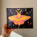 Rosy Maple Moth Original Art Hand painted 8x10 inch black canvas Yellow and Pink