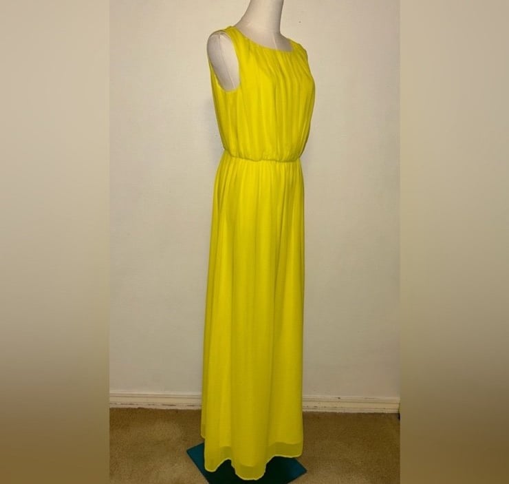 NWT Gianni Bini Traci Dress