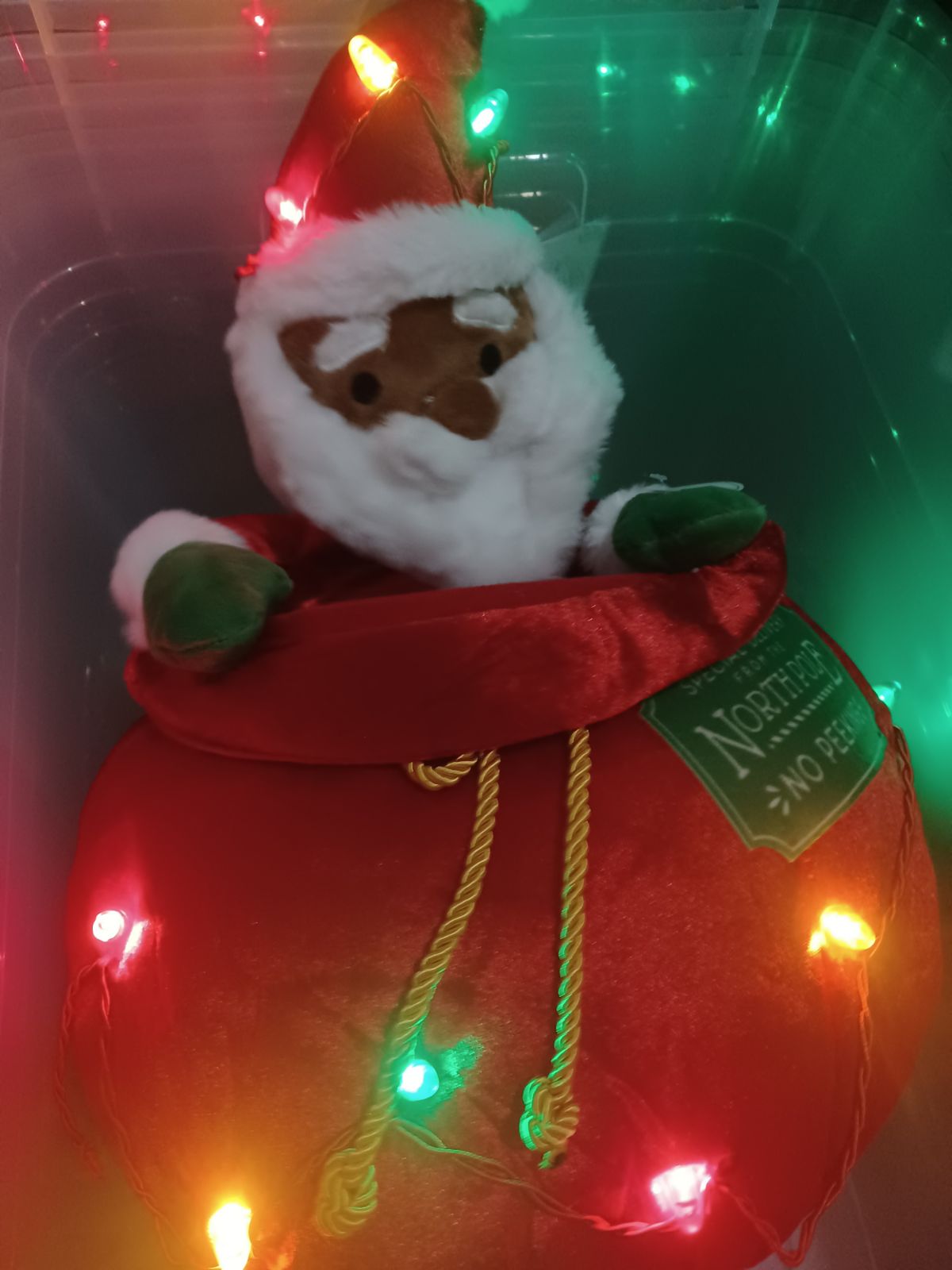 Animated Santa Santa Pops Out Of The Bag And Dances north pole no peeking. Condi