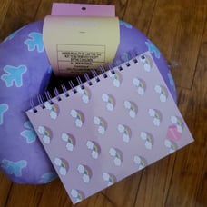 Travel pillow and journal stoney clover