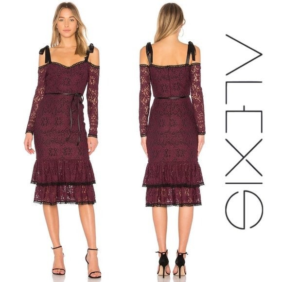 NWT Alexis Sophia Dress in Burgundy