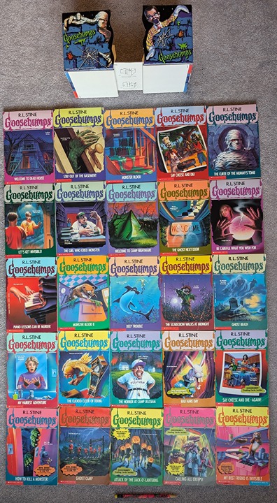 Goosebumps Original Series 1997 Fan Club Book Ends Lot RL Stine Bookends Rare