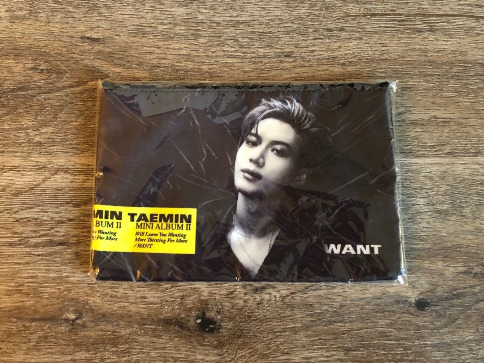 Shinee TAEMIN official goods - Taemin WANT Pouch