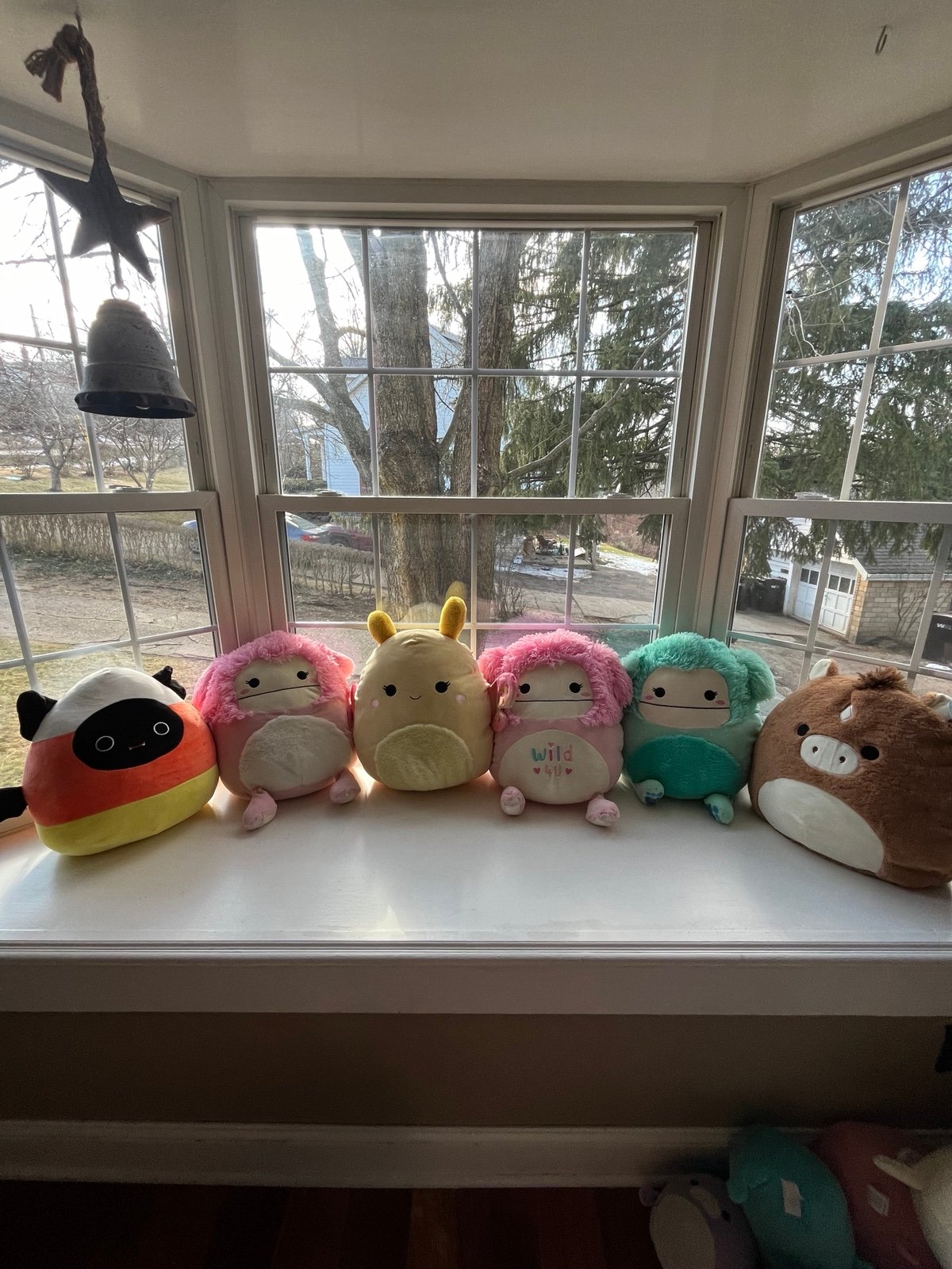 Squishmallow lot