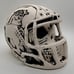 Carolina Panthers Skull Helmet