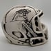 Carolina Panthers Skull Helmet