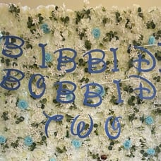 Bibbidi Bobbidi two Cinderella second 2nd birthday theme bundle Disney