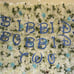 Bibbidi Bobbidi two Cinderella second 2nd birthday theme bundle Disney