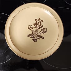 Pfaltzgraff vintage the villiage replacement dinner plates 10 1/2 inch holiday