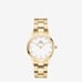 Daniel Wellington iconic link womens watch in yellow gold and white