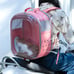 Cat Backpack Carriers, Foldable Pet Backpack Carriers For Cats Puppy Dogs Birds