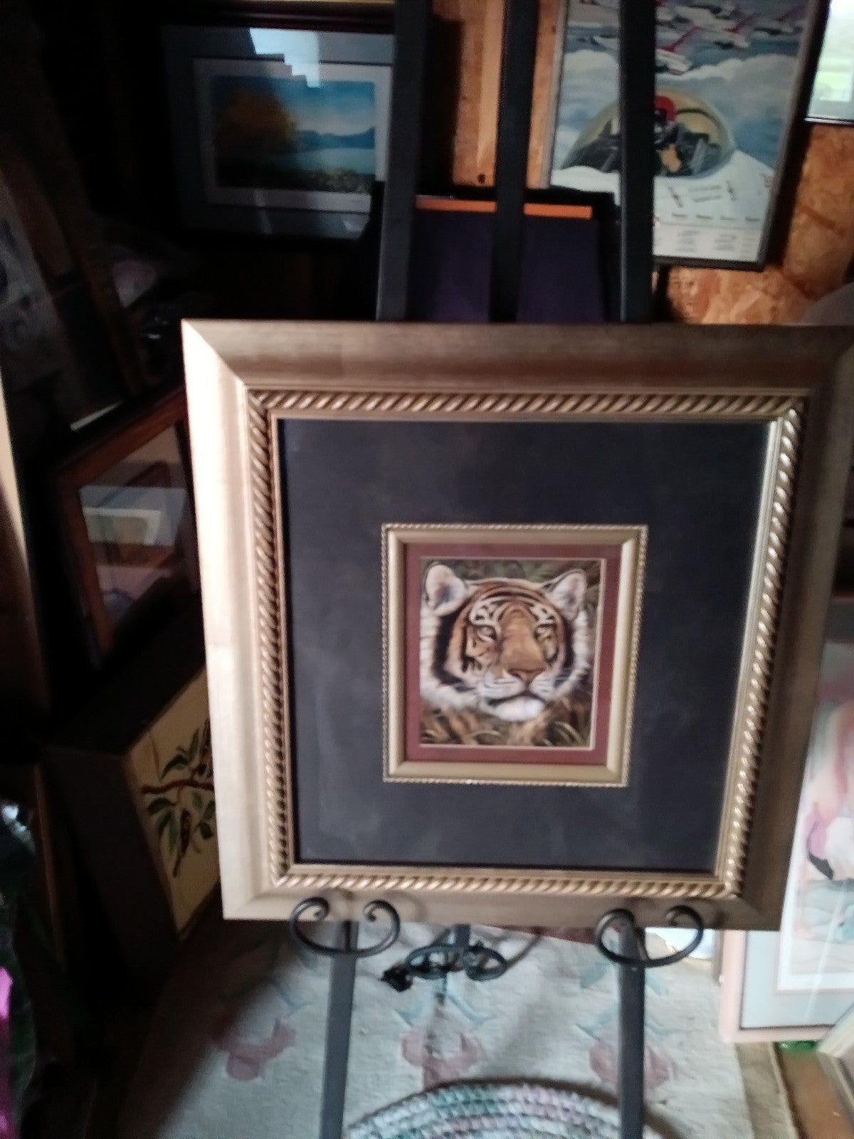 Beautiful framed print of a tiger