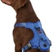 KONG Ultra Durable Waste Bag Harness- Blue XL