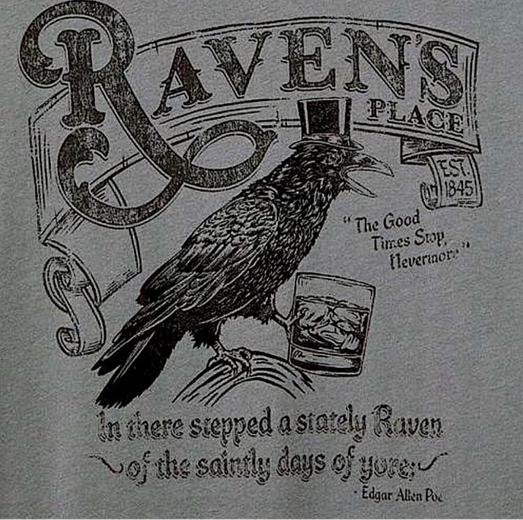 TORRID Raven Relaxed Crew Tee NWT