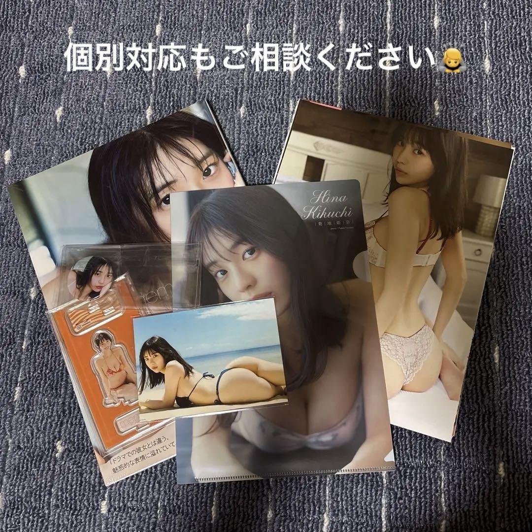 Kikuchi Hina Acrylic Stand memory Photobook