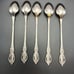 5 Oneida RAPHAEL Iced Teaspoons Distinction Deluxe Stainless Flatware Discontinu