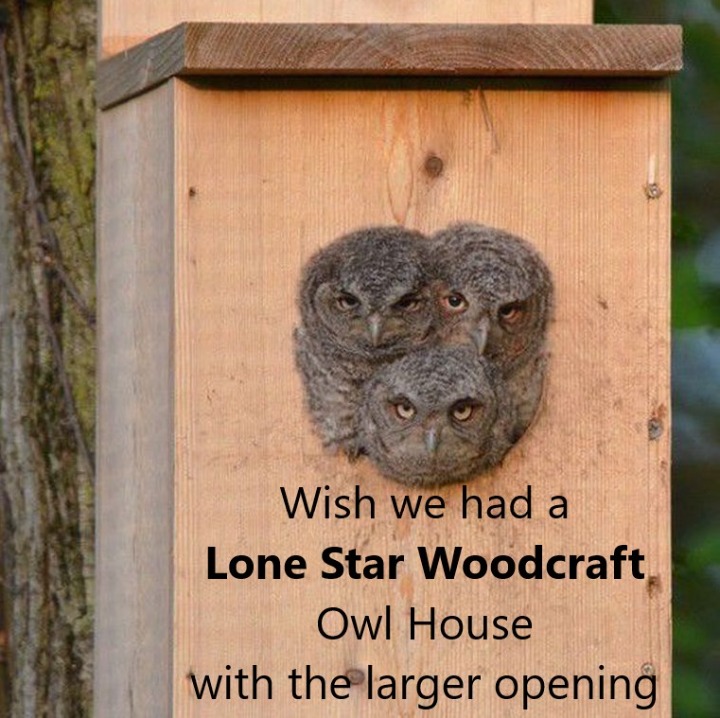 Cedar Owl house