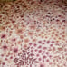 Rachel Zoe pink king floral quilt