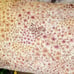 Rachel Zoe pink king floral quilt