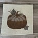 Pier 1 Imports beaded pumpkin placemat