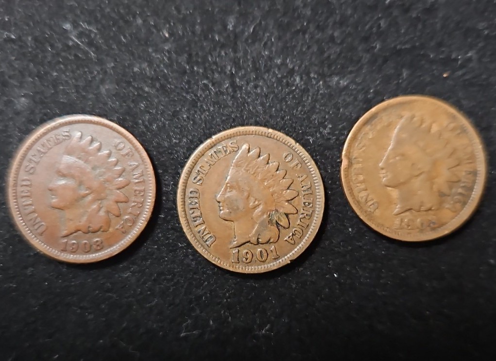 Indian head pennies