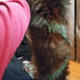 Real fox Fur scarf