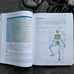 Phlebotomy Essentials by Ruth E. McCall 4th edition