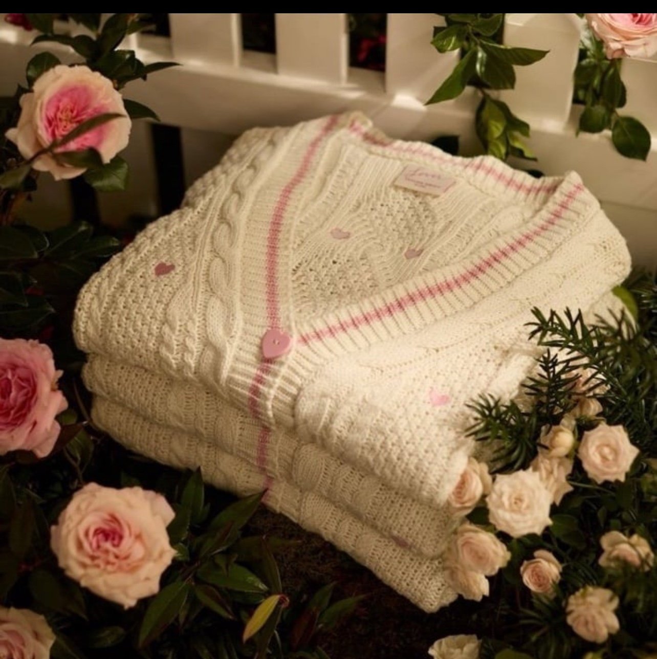 Taylor Swift lover cardigan