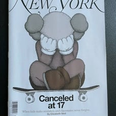 Kaws magazine 2022 New York times magazine