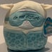 Squishmallow Bundle