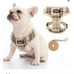 small Harness and leash