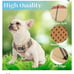 small Harness and leash