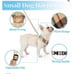 small Harness and leash