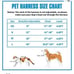 small Harness and leash