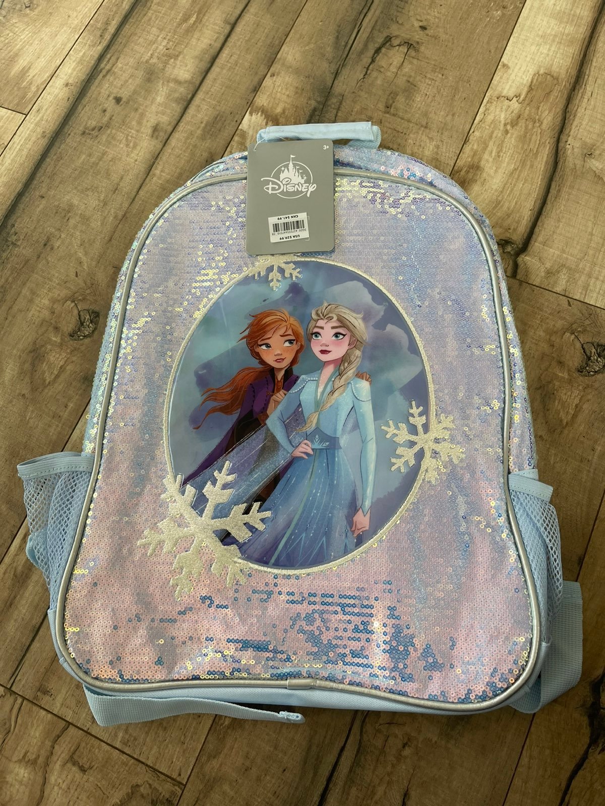 Frozen Backpack
