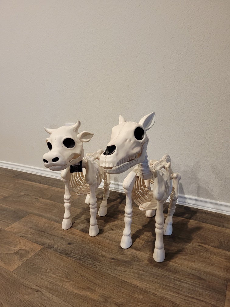 VHTF VIRAL TIKTOK Tractor Supply Halloween Cow and horse skeleton