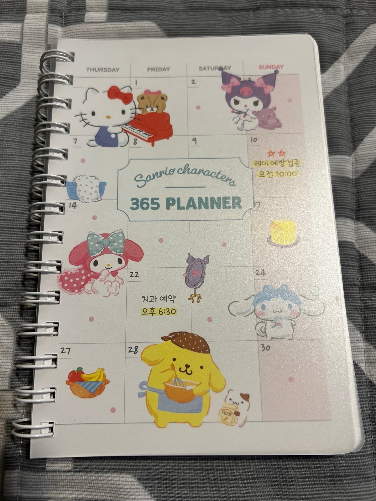 Sanrio Friends undated planner