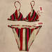 The Lulu Top and Bottom In Watermelon Stripe Set both pieces Bikini Set