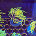 Coral Frag Aquarium Decoration