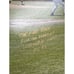Baseball Opening Day 1993 Inaugural Poster & Photos Miami Marlins Vs Dodgers MLB