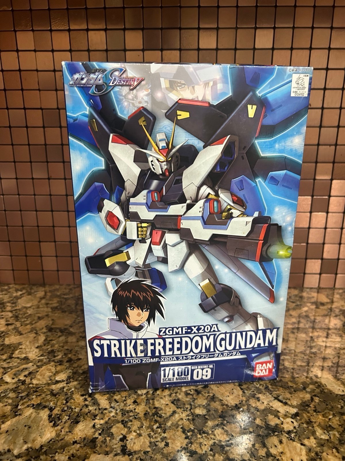 1/100 ZGMF-X20A Strike Freedom Gundam