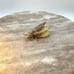 Vntg 50s Hattie Carnegie Signed Flying Bee Brooch Wings Bounce Missing Stone 2in